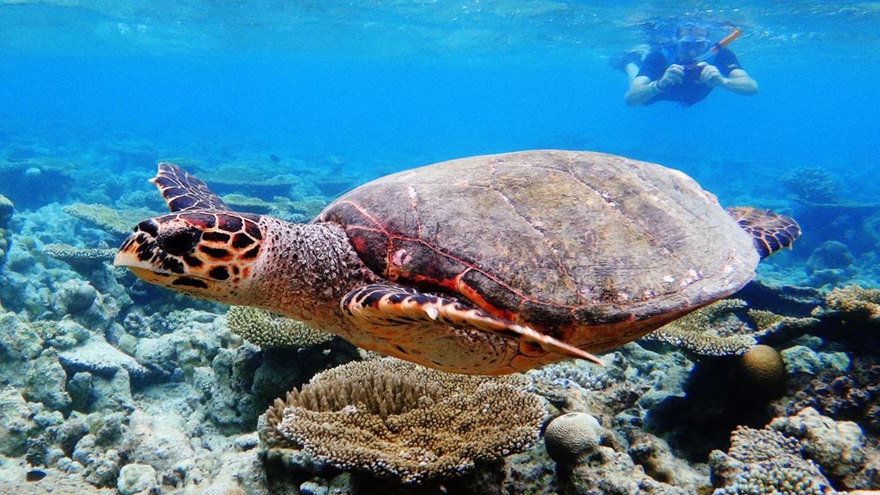 Dharavandhoo Stay Buitenkant foto