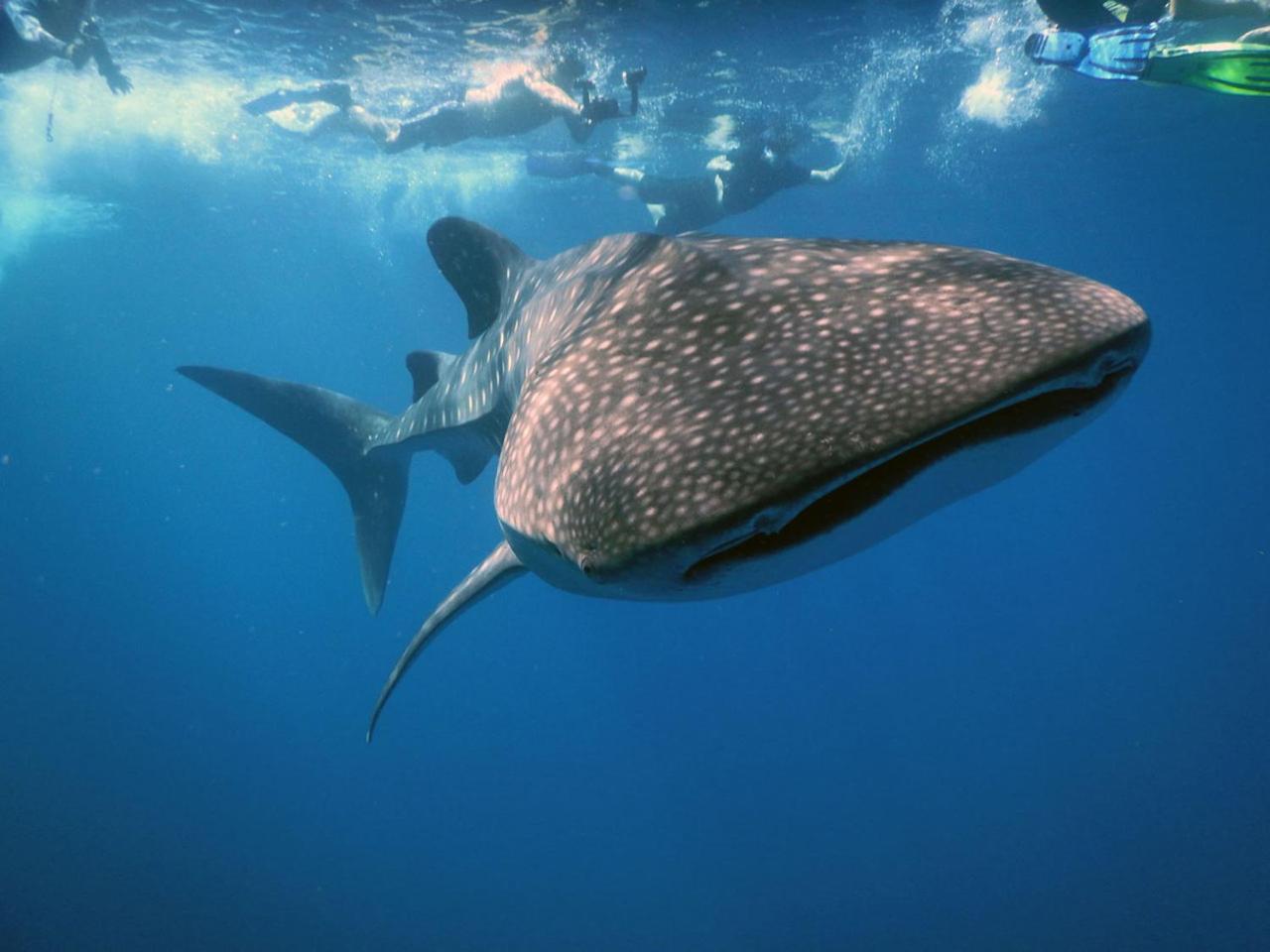 Dharavandhoo Stay Buitenkant foto