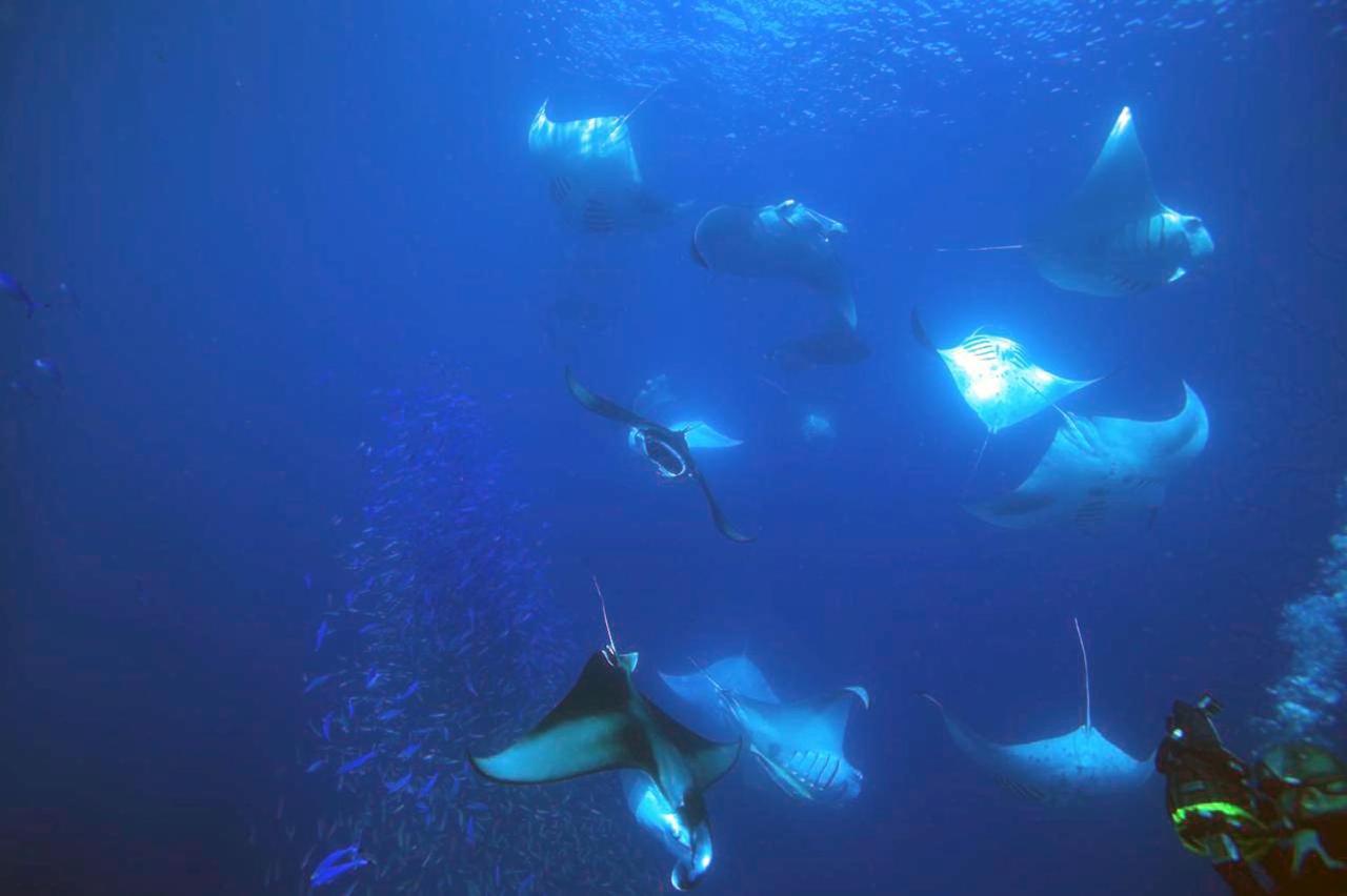 Dharavandhoo Stay Buitenkant foto