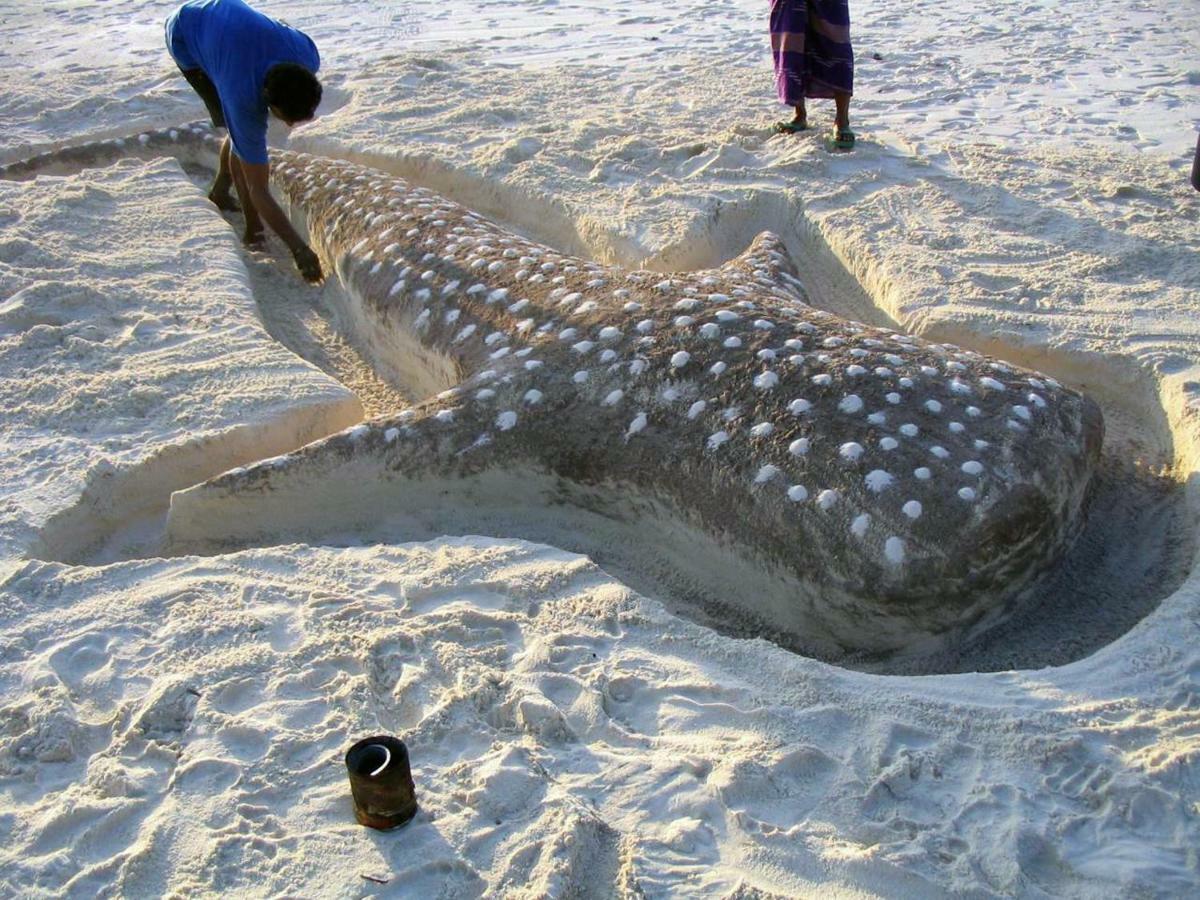 Dharavandhoo Stay Buitenkant foto