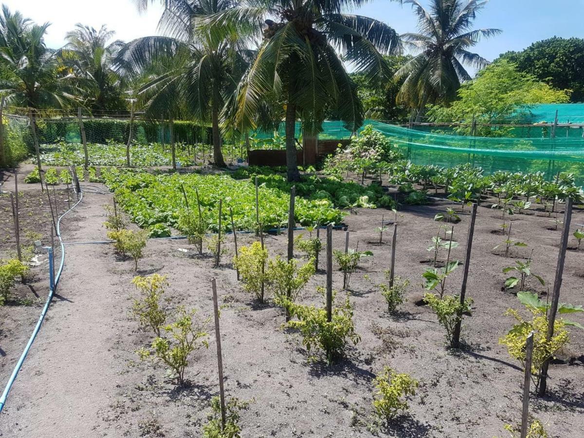 Dharavandhoo Stay Buitenkant foto